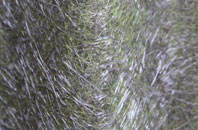 Whitemans Green fibreglass roof work